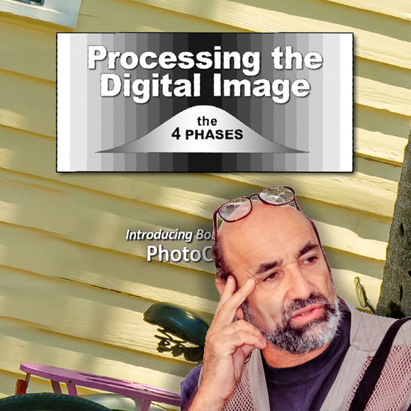 Digital Photography Book and Training