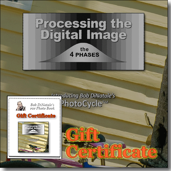 GC_PDI-WebX